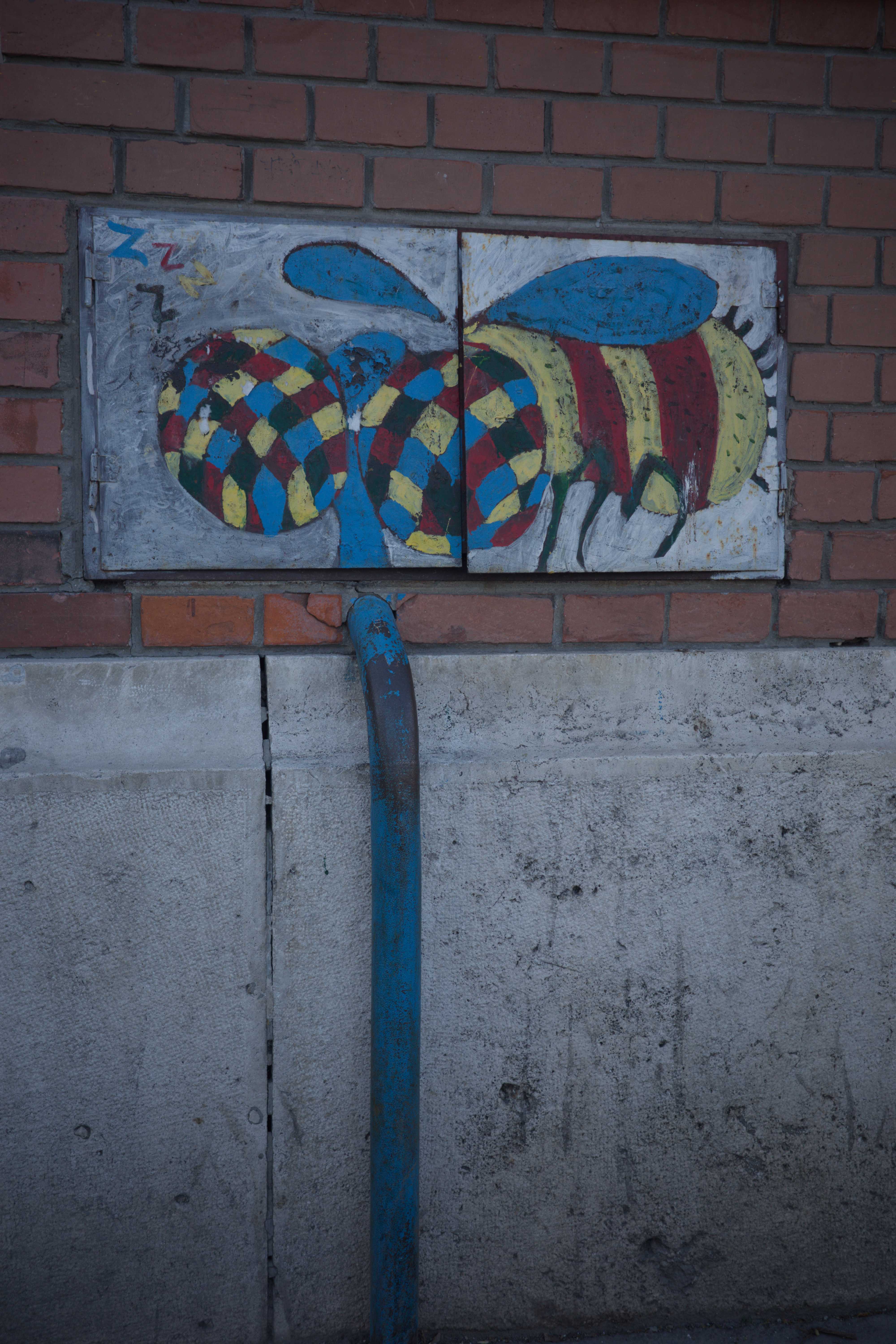 Fliege auf einer Hauswand